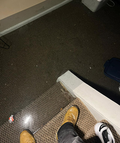 Mold After Water Damage: What to Do Next