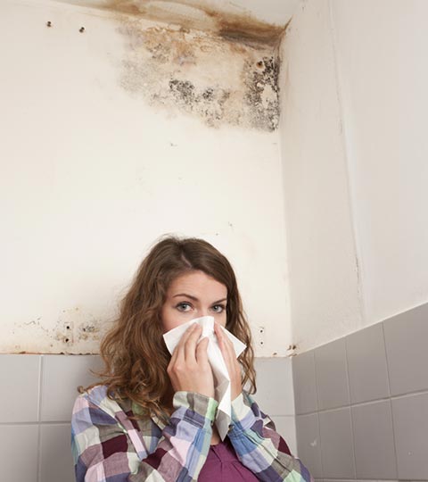 How Indoor Mold Affects Our Lives and Why Mold Removal is Needed