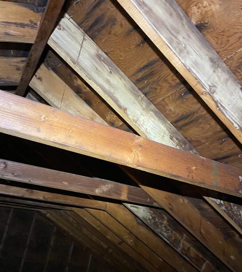 What Causes Mold in an Attic?