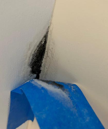 Mold in Hidden Places of Your Home